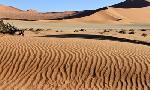 Revoir Namibie sauvage du 08 Octobre