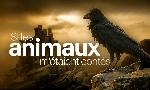 Revoir Documentaires du 10 Octobre