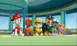Revoir Paw patrol, la pat'patrouille du 12 Octobre
