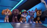 Revoir Paw patrol, la pat'patrouille du 13 Octobre