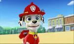 Revoir Paw patrol, la pat'patrouille du 14 Octobre