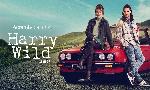 Revoir Harry wild du 14 Octobre