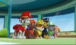 Revoir Paw patrol, la pat'patrouille du 15 Octobre