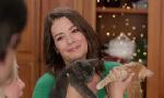 Revoir Neuf chatons pour no�l du 14 Octobre