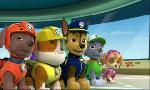 Revoir Paw patrol, la pat'patrouille du 16 Octobre