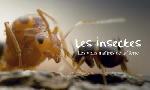 Revoir Saison 3 du 16 Octobre
