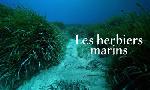 Revoir 42 - la r�ponse � presque tout du 17 Octobre