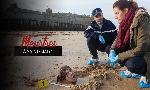 Revoir Meurtres � saint-malo du 17 Octobre