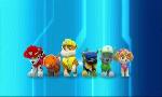 Revoir Paw patrol, la pat'patrouille du 19 Octobre