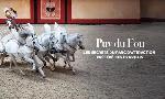 Revoir Puy du fou : les secrets du parc d?attraction pr�f�r� des fran�ais du 20 Octobre