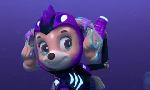Revoir Paw patrol, la pat'patrouille du 21 Octobre