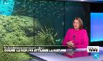 Revoir �l�ment terre, la quotidienne du 21 Octobre