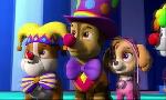 Revoir Paw patrol, la pat'patrouille du 22 Octobre