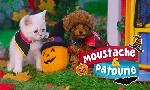 Revoir Moustache & patoune du 15 Octobre