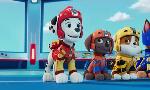 Revoir Paw patrol, la pat'patrouille du 23 Octobre