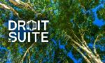 Revoir Droit de suite du 23 Octobre