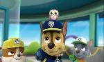 Revoir Paw patrol, la pat'patrouille du 26 Octobre