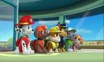 Revoir Paw patrol, la pat'patrouille du 26 Octobre