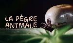 Revoir Le dessous des images du 26 Octobre