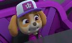 Revoir Paw patrol, la pat'patrouille du 27 Octobre