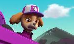 Revoir Paw patrol, la pat'patrouille du 27 Octobre