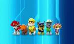 Revoir Paw patrol, la pat'patrouille du 29 Octobre