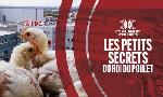 Revoir Compl�ment d'enqu�te du 29 Octobre