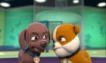 Revoir Paw patrol, la pat'patrouille du 30 Octobre